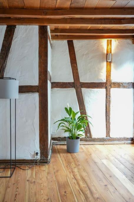 Charmante Fachwerk Wohnung Mit Terrasse In Der Altstadt Koblenz  Ngoại thất bức ảnh